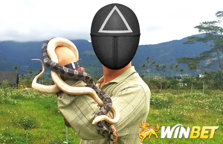 看到蛇要簽幾號?