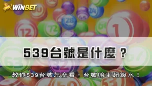 539台號是什麼?教你539台號怎麼看,台號賠率超級水!