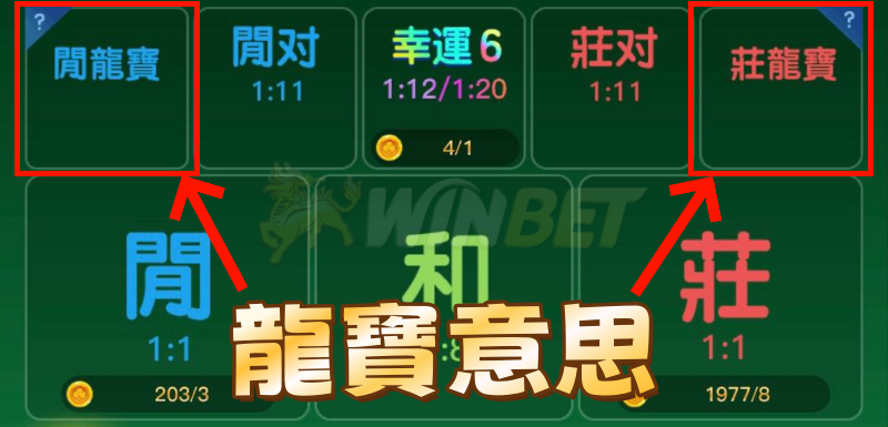 百家樂龍寶是什麼